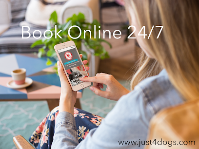 Dog day care in Orlando Florida Just 4 Dogs Pet Salon Waterford Lakes 1