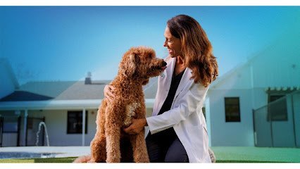 Dog day care in Orlando Florida NewDay Veterinary Care 1