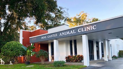 Dog day care in Orlando Florida Pine Castle Animal Clinic 1
