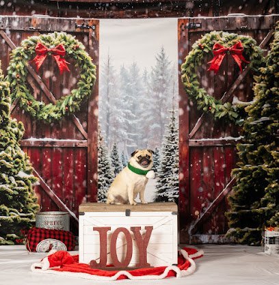 Dog day care in Orlando Florida Plush Paws Pet Salon 1