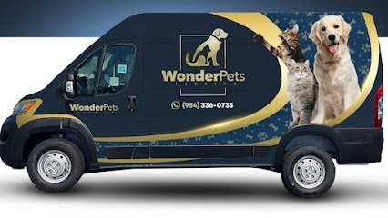 Dog day care in Orlando Florida Wonder Pets Florida 1