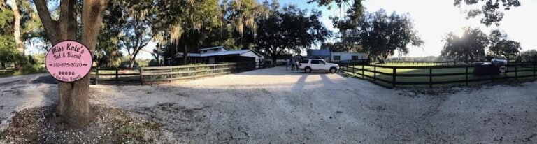 Dog day care in Oxford Florida Miss Kate s Bed Biscuit 1 768x206