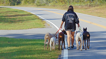 Dog day care in Panama City Florida Dogmata 1