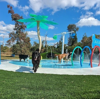 Dog day care in Panama City Florida NaJu Pets 1