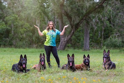 Dog day care in Parrish Florida PLAY K9 Academy 1