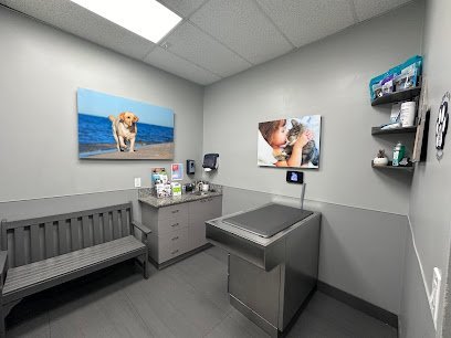 Dog day care in Pembroke Pines Florida VCA Pines West Animal Hospital 1