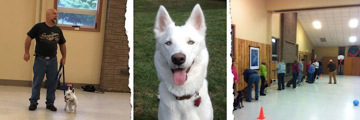 Dog day care in Plainville Connecticut Phils Dog Training 1