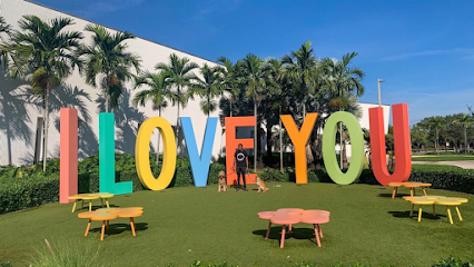 Dog day care in Plantation Florida South Florida Pet Sitter 1