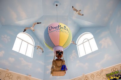 Dog day care in Ponte Vedra Beach Florida DogBeach 1