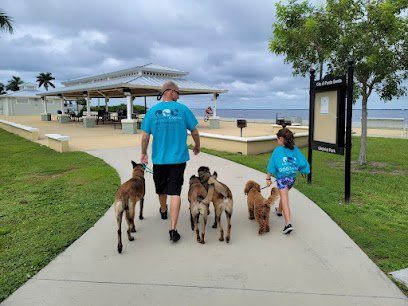 Dog day care in Punta Gorda Florida Advanced Canine Development LLC. Puppy and Dog Trainer 1