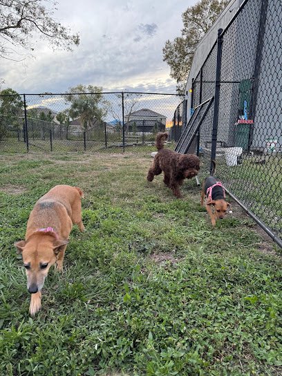 Dog day care in Riverview Florida Furry Friends Retreat 1