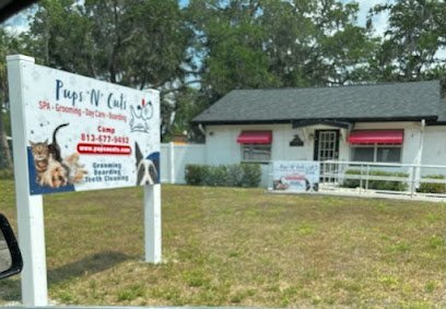 Dog day care in Riverview Florida Pups N Cuts Camp 1