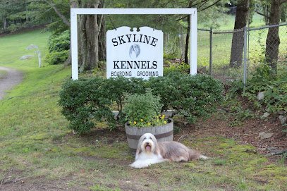 Dog day care in Salem Connecticut Skyline Kennels 1