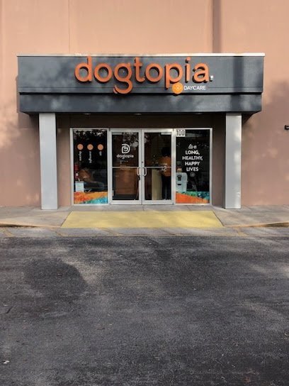 Dog day care in Sanford Florida Dogtopia of Orlando Sanford 1