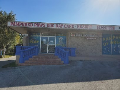 Dog day care in Sanford Florida Pampered Paws Dog Day Care 1