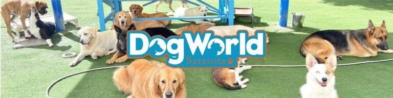 Dog day care in Sarasota Florida Dog World Sarasota 1 768x192