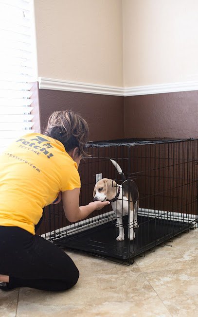 Dog day care in Sarasota Florida Fetch Pet Care of Sarasota 1