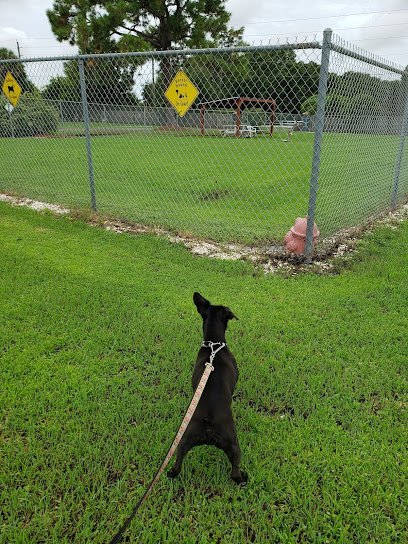Dog day care in Sarasota Florida Hagan s Pet Resort Animal Clinic 1