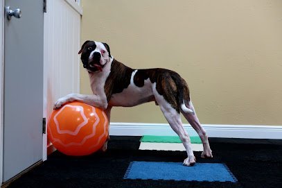 Dog day care in Sarasota Florida K9 Korral 1