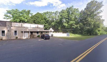 Dog day care in Simsbury Connecticut Quarry Dog Etc 1