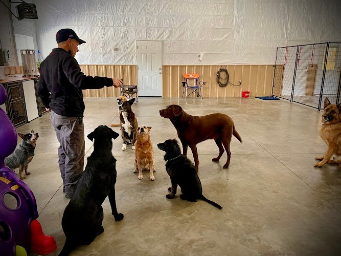 Dog day care in South Fork Colorado Ruff Dogs