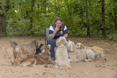 Dog day care in South Windsor Connecticut Happy Dogs At Home 1