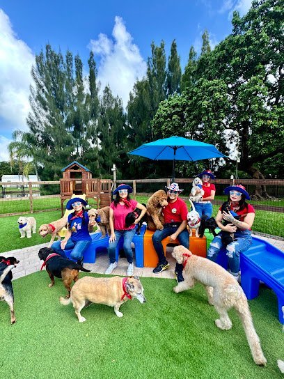 Dog day care in Southwest Ranches Florida Acuarela Dog Ranch 1