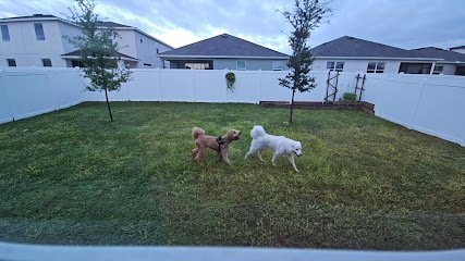 Dog day care in St Cloud Florida Alaska s Friends 1