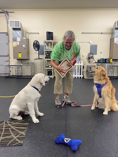 Dog day care in Stonington Connecticut My Dogs Place 1