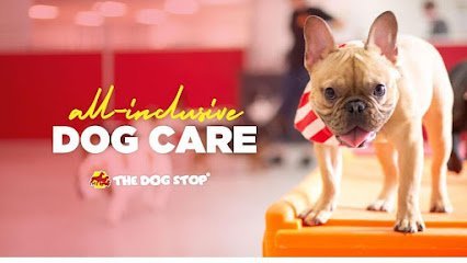 Dog day care in Stuart Florida The Dog Stop Stuart Florida 1