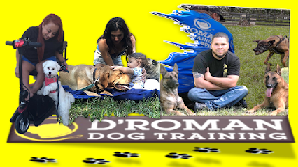 Dog day care in Sumterville Florida D Roman Dog Training and Boarding LLC 1