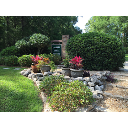 Dog day care in Tallahassee Florida Killearn Animal Hospital 1