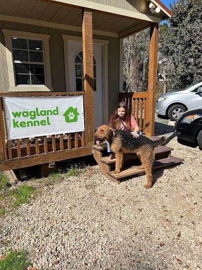 Dog day care in Tallahassee Florida Wagland Kennel 1