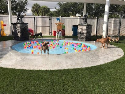 Dog day care in Tamarac Florida Arfington Pet Resort 1