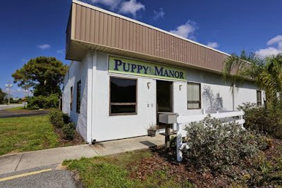 Dog day care in Tampa Florida Puppy Manor 1