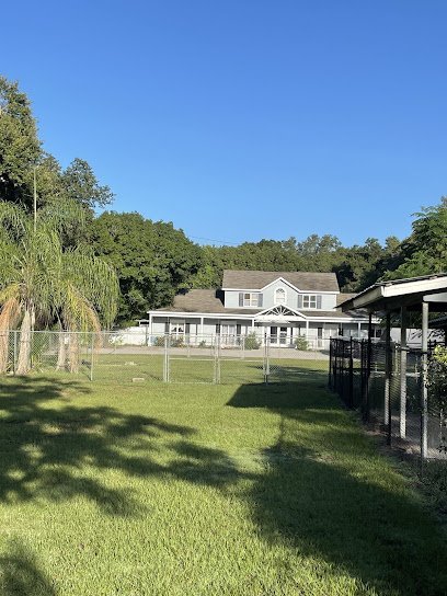 Dog day care in Valrico Florida Almost Home Pet Resort LLC 1