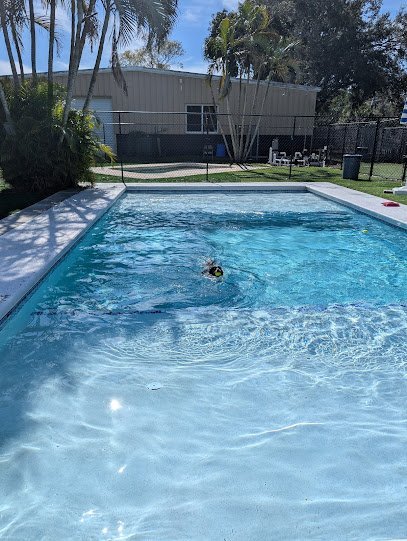 Dog day care in Vero Beach Florida Pawprints of Vero Beach 1