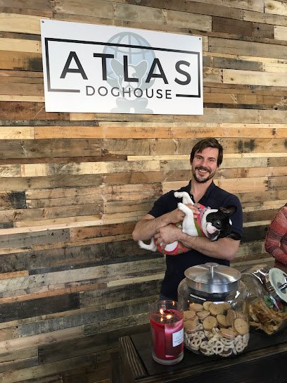 Dog day care in Washington, District of Columbia - Atlas Doghouse