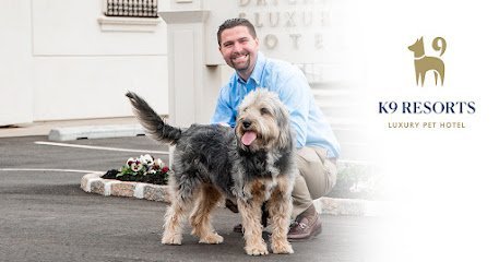 Dog day care in Wellington Florida K9 Resorts Luxury Pet Hotel Wellington 1