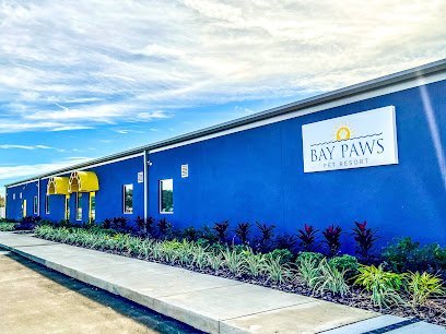 Dog day care in Wesley Chapel Florida Bay Paws Pet Resort Wesley Chapel 1