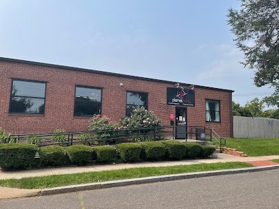 Dog day care in West Hartford Connecticut Planet Bark 1