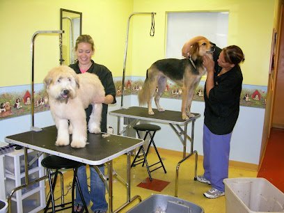 Dog day care in Weston Florida K 9 KUTS INC  1