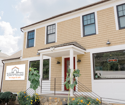 Dog day care in Westport Connecticut Town House For Dogs Cats 1
