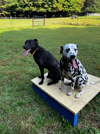 Dog day care in Windham Connecticut Influential K9 LLC 1