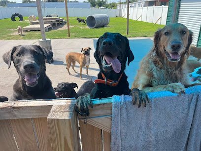 Dog day care in Winter Haven Florida Paw Printz Inc  1