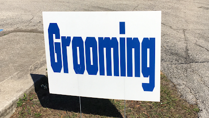 Dog day care in Winter Haven Florida Ruff Fluff 1