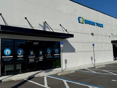 Dog day care in Winter Park Florida Hounds Town Orlando Winter Park 1