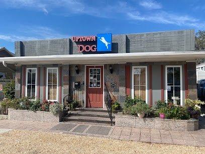 Dog day care in Winter Park Florida Uptown Dog 1