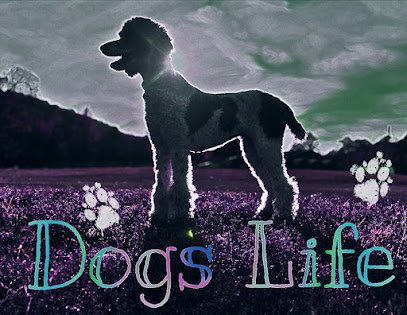 Dogs Life of Glenwood