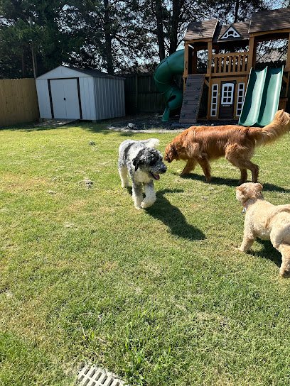 FURever Together LLC